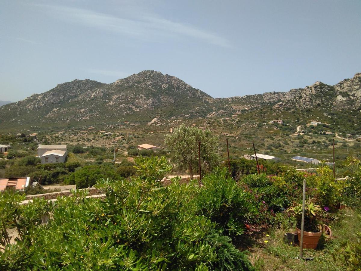 Villetta Osseddu Olbia Extérieur photo
